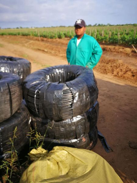 產(chǎn)品熱銷(xiāo)海內(nèi)外，質(zhì)量放心客戶(hù)滿(mǎn)意