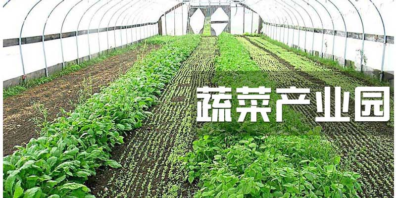 智能化水肥灌溉設(shè)備